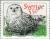 Colnect-164-894-Snowy-Owl-Bubo-scandiacus.jpg