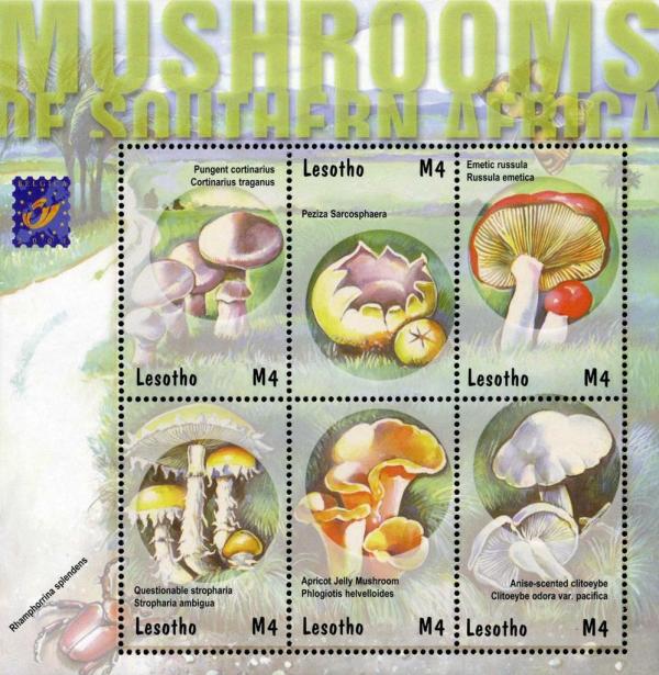 Colnect-1736-239-Mushrooms-of-Southern-Africa-sheet.jpg
