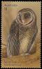 Colnect-6314-240-Sooty-Owl-Tyto-tenebricosa.jpg