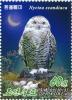 Colnect-3266-432-Snowy-Owl-Bubo-scandiacus.jpg