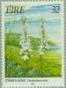 Colnect-129-144-Common-Spotted-Orchid-Dactylorhiza-fuchsii.jpg