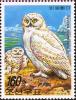 Colnect-1615-859-Snowy-Owl-Bubo-scandiacus.jpg