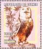 Colnect-868-388-Snowy-Owl-Bubo-scandiacus.jpg