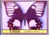 Colnect-2700-342-Papilio-aegeus.jpg