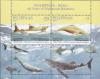 Colnect-2855-536-Ganges-River-Dolphin-Platanista-gangetica-Whale-Shark-Rh.jpg