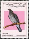 Colnect-3563-261-White-crowned-Pigeon-Columba-leucocephala.jpg