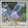 Colnect-6135-932-Pigeon-Nkhunda.jpg