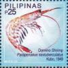 Colnect-6240-600-Domino-Shrimp-Parapenaeus-sextuberculatus.jpg