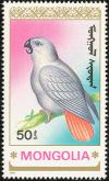 Colnect-860-460-African-Grey-Parrot-Psittacus-erithacus.jpg