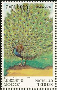 Colnect-1614-701-Green-Peafowl-Pavo-muticus.jpg