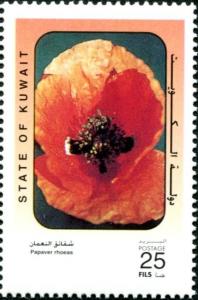 Colnect-5313-593-Common-Poppy-Papaver-rhoeas.jpg