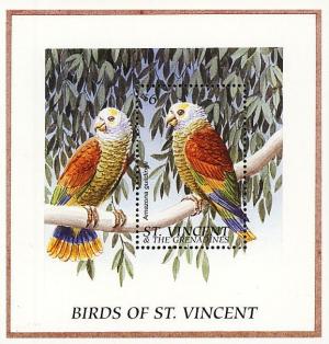 Colnect-1758-927-St-Vincent-Parrot-Amazona-guildingii.jpg
