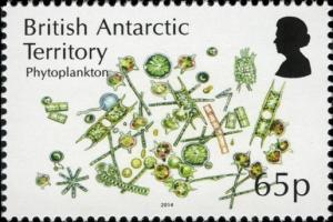 Colnect-2888-020-Phytoplankton.jpg