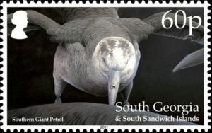 Colnect-4571-644-Southern-Giant-Petrel-Macronectes-giganteus.jpg