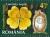 Colnect-1935-694-Common-evening-primrose-Oenothera-biennis-L.jpg