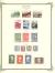 WSA-Belgium-Semi-Postage-sp1953.jpg