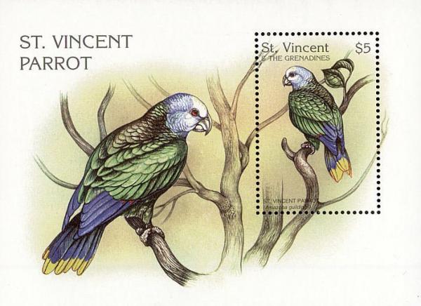 Colnect-1755-647-St-Vincent-Parrot-Amazona-guildingii.jpg