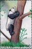 Colnect-4411-448-Giant-Panda-climbing-trunk.jpg