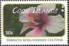 Colnect-2209-643-Hibiscus-rosa-sinensis-cultivar.jpg