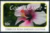 Colnect-4070-079-Hibiscus-rosa-sinensis-cultivar.jpg