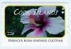 Colnect-4074-054-Hibiscus-rosa-sinensis-cultivar.jpg