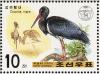 Colnect-1615-841-Black-Stork-Ciconia-nigra.jpg