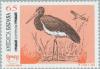 Colnect-178-953-Black-Stork-Ciconia-nigra.jpg