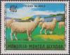 Colnect-1789-759-Domestic-Sheep-Ovis-ammon-aries.jpg