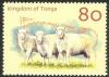 Colnect-2373-390-Domestic-Sheep-Ovis-ammon-aries.jpg