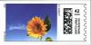 Colnect-4286-554-Sunflower-sky.jpg
