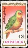 Colnect-860-461-Kakapo-Strigops-habroptila.jpg