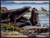 Colnect-887-997-Kerguelen-Fur-Seal-Arctocephalus-gazella.jpg