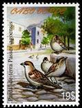 Colnect-1750-195-Cape-Verde-Sparrow-Passer-iagoensis.jpg