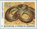 Colnect-178-331-Cyprus-Whip-Snake-Coluber-cypriensis.jpg