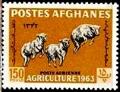Colnect-2175-941-Karakul-Sheep-Ovis-ammon-aries.jpg