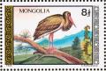 Colnect-860-490-Black-Stork-Ciconia-nigra.jpg