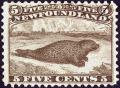Colnect-919-734-Harbor-Seal-Phoca-vitulina.jpg