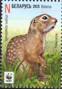 Colnect-2861-523-Speckled-Ground-Squirrel-Spermophilus-suslicus.jpg