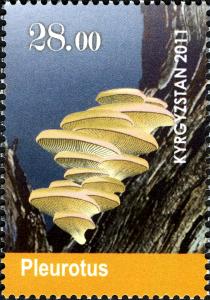 Stamps_of_Kyrgyzstan%2C_2011-31.jpg