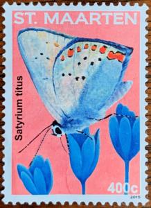 Colnect-5885-228-Satyrium-Titus.jpg
