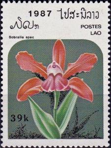 Colnect-4033-078-Sobralia-spec.jpg