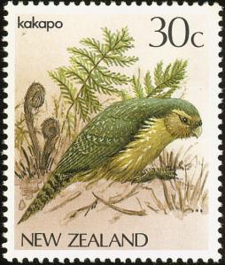 Colnect-735-517-Kakapo-Strigops-habroptilus.jpg