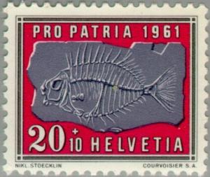 Colnect-140-165-Fossile-of-Black-scorpionfish-Scorpaena-porcus.jpg