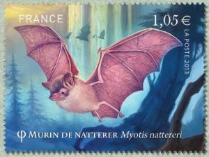 Colnect-1549-634-Natterer-s-Bat-Myotis-nattereri-.jpg