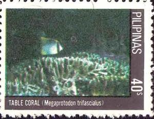 Colnect-2034-173-Table-Coral-Acropora-sp-Melon-Butterflyfish-Megaprotodo.jpg