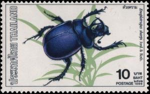 Colnect-2754-548-Purple-Horn-Scarab-Anoplotrupes-sharpi.jpg