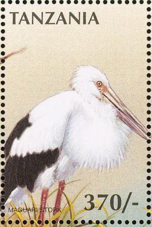 Colnect-3746-311-Maguari-Stork-Ciconia-maguari.jpg