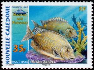 Colnect-858-838-Golden-Lined-Spinefoot-Siganus-lineatus.jpg