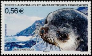 Colnect-889-514-Subantarctic-Fur-Seal-Arctocephalus-tropicalis.jpg