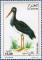 Colnect-465-392-Black-Stork-Ciconia-nigra.jpg
